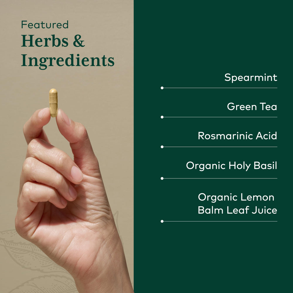 Gaia Herbs PRO Somni-Mint Rosmarinic Complex lemon balm component close-up