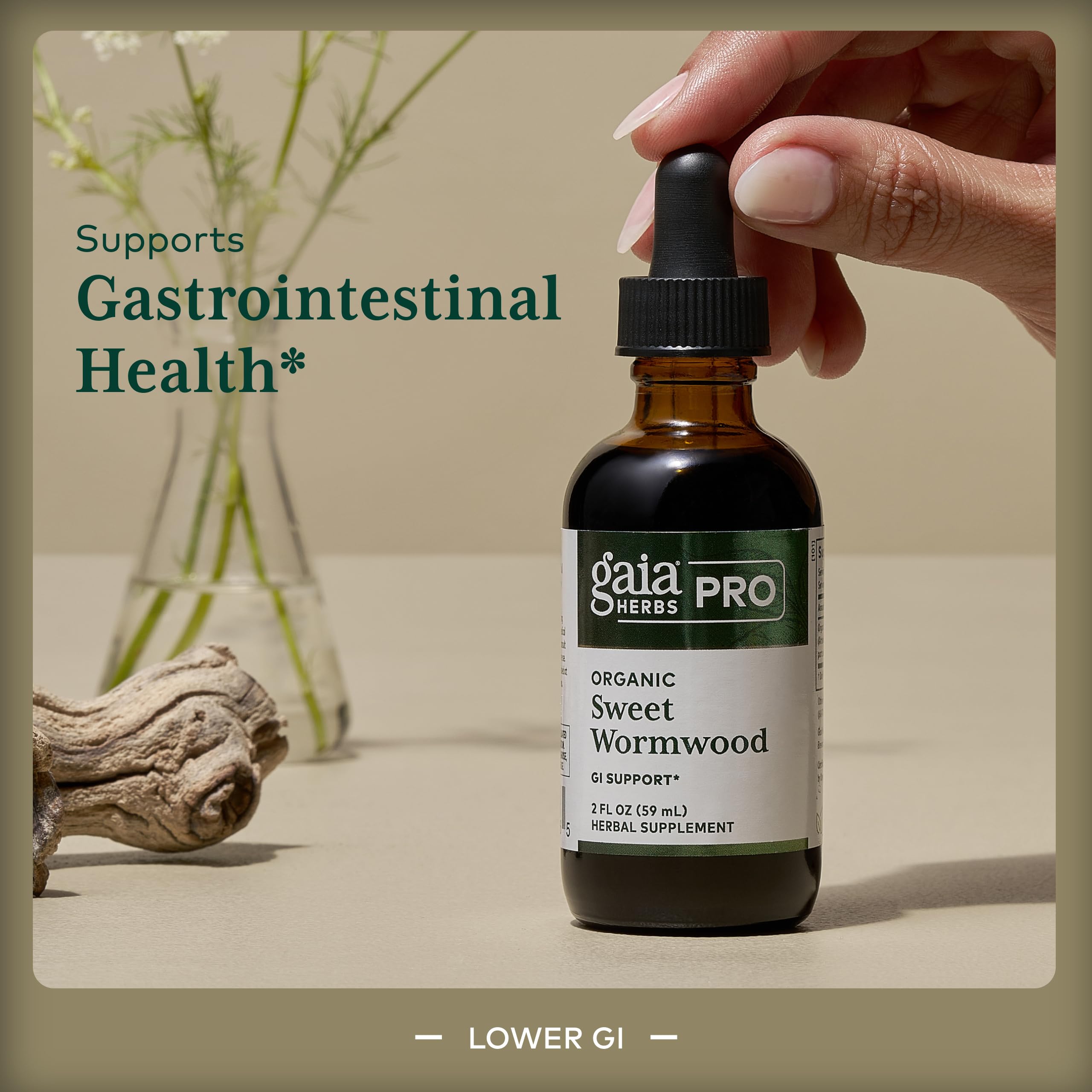 GAIA Herbs Pro Sweet Wormwood label info highlights organic sourcing.