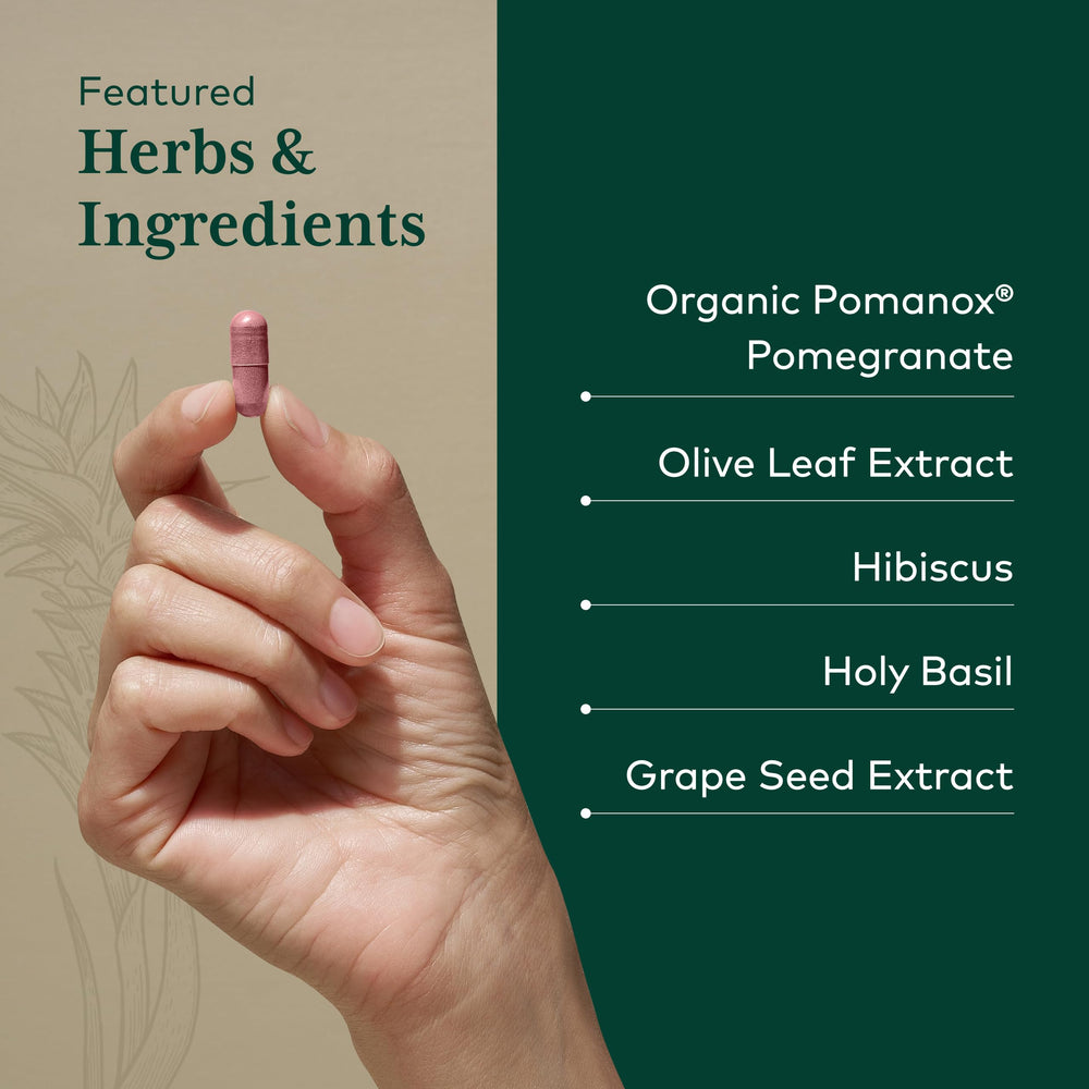 Gaia Herbs PRO Systolic Complex grape seed capsules promote vascular support.