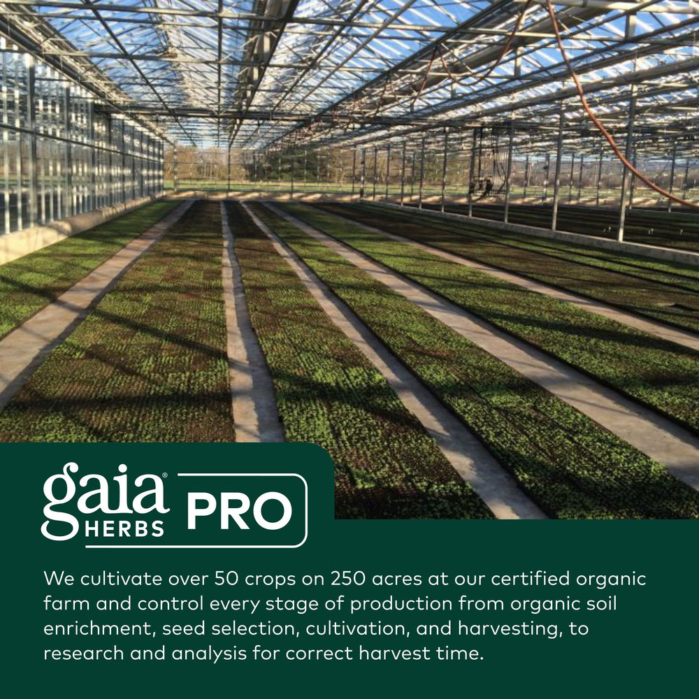 Gaia Herbs PRO vegan gluten-free soy-free icons indicating dietary compatibility.