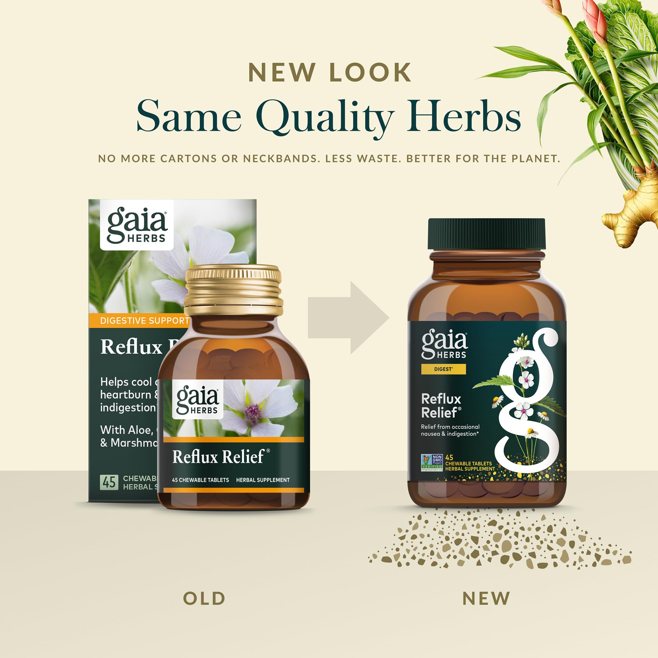 Gaia Herbs Reflux Relief digestive routine in action for daily comfort.
