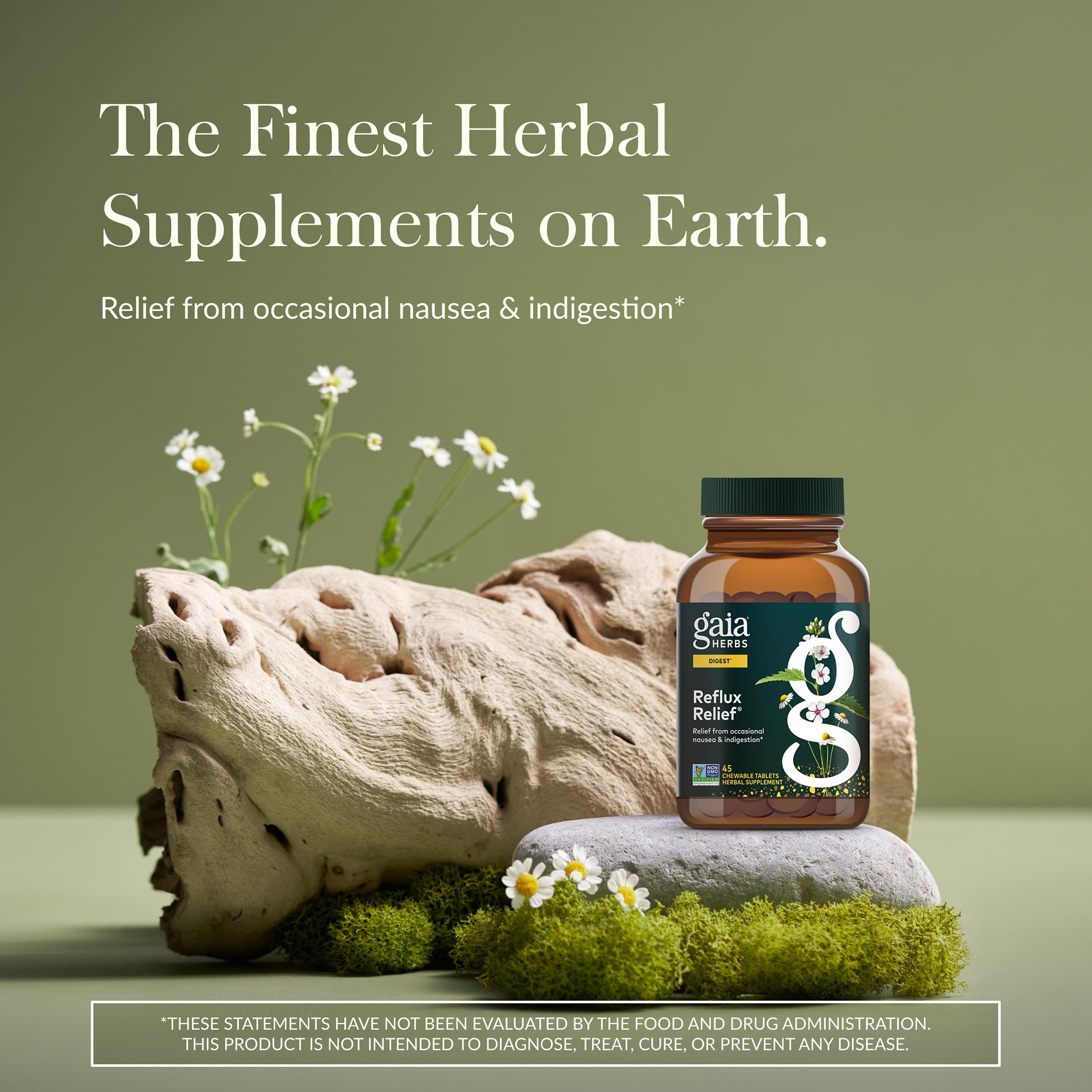 Gaia Herbs Reflux Relief tablets closeup for occasional indigestion relief.