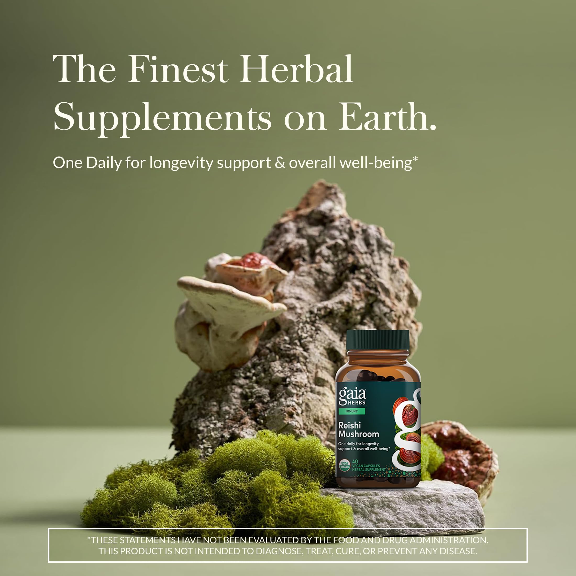 Gaia Herbs Reishi bottle back showing directions and ingredients