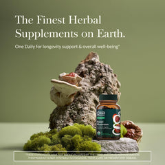 Gaia Herbs Reishi bottle back showing directions and ingredients