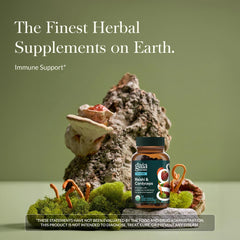 GaIa Herbs Respiratory Mushroom Blend ingredients reveal reishi and cordyceps extracts promoting respiratory wellness.