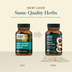 One daily capsule of Gaia Herbs Respiratory Mushroom Blend ready for everyday support.