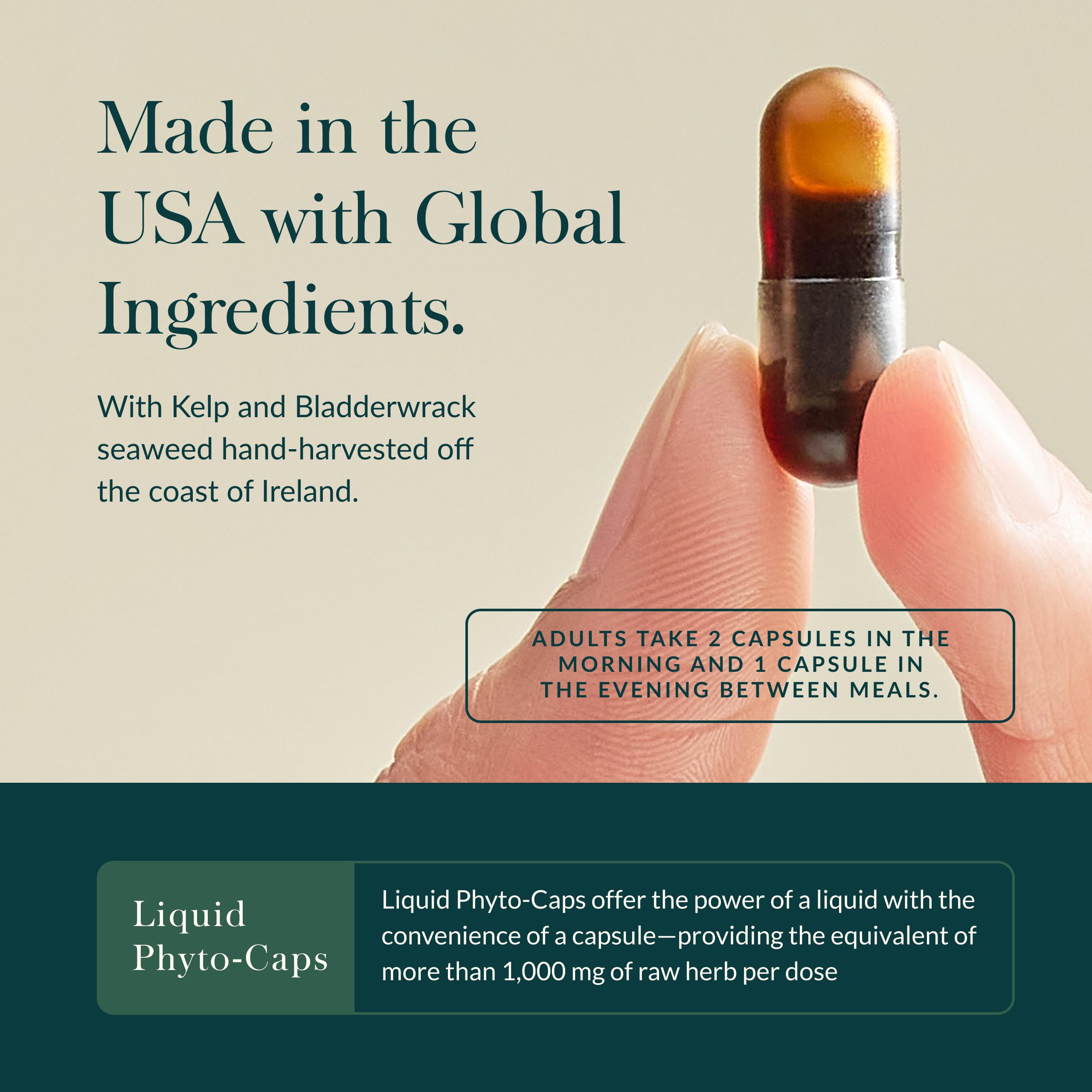 Gaia Herbs Thyroid Support ingredients include kelp for balanced metabolism.