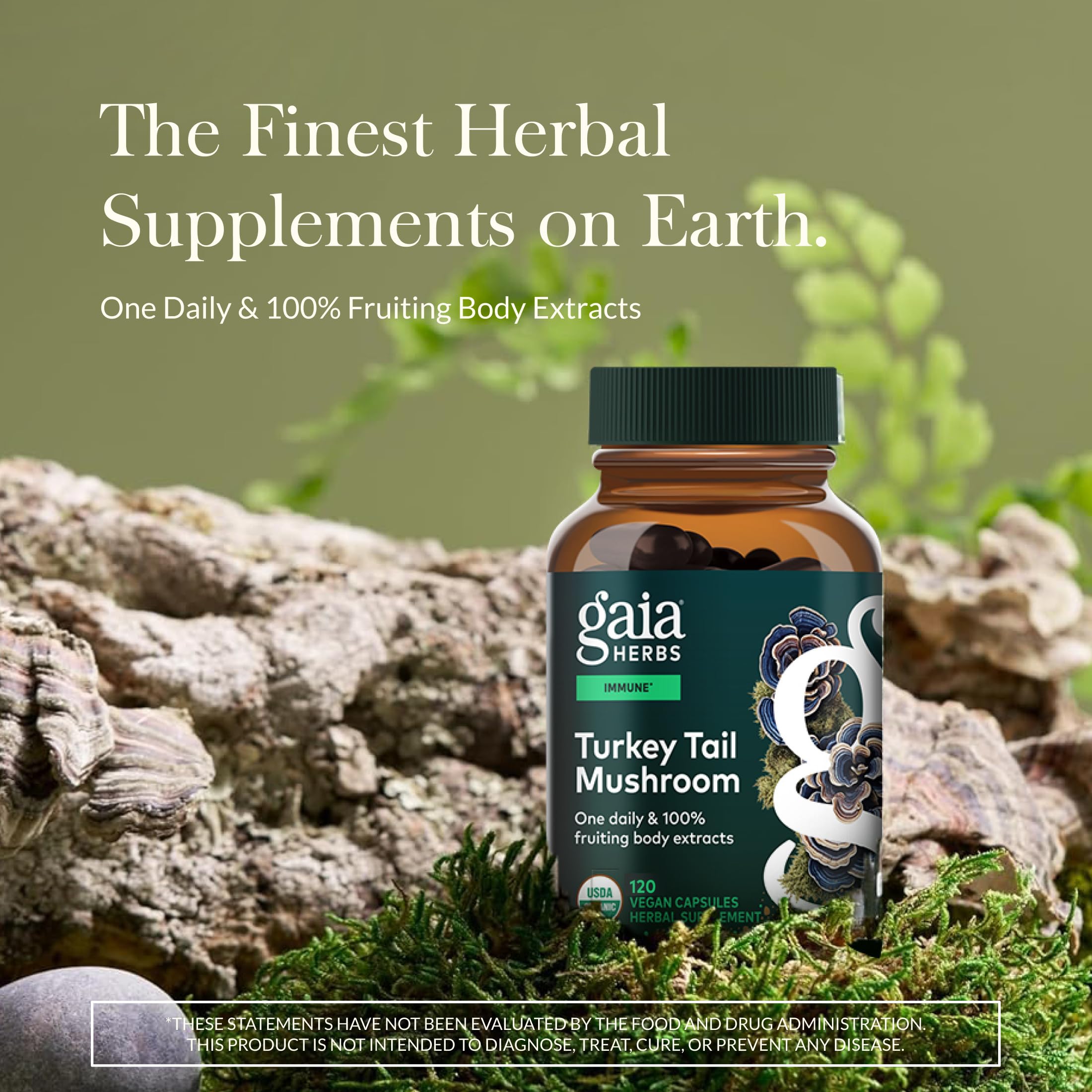Gaia Herbs Turkey Tail capsules close-up for liver health and overall wellness.