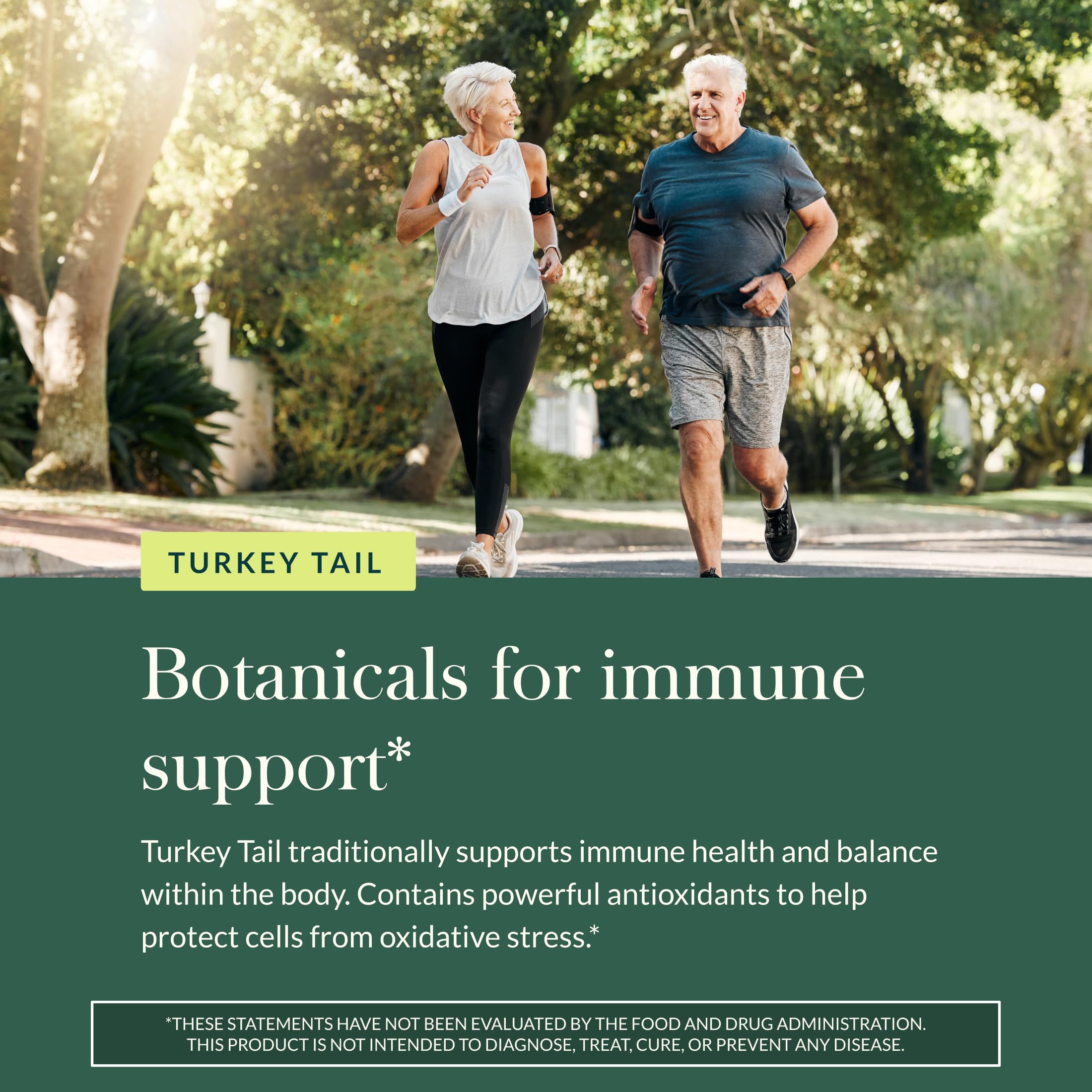 Gaia Herbs Turkey Tail daily-dose bottle for easy routine.