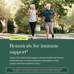 Gaia Herbs Turkey Tail daily-dose bottle for easy routine.