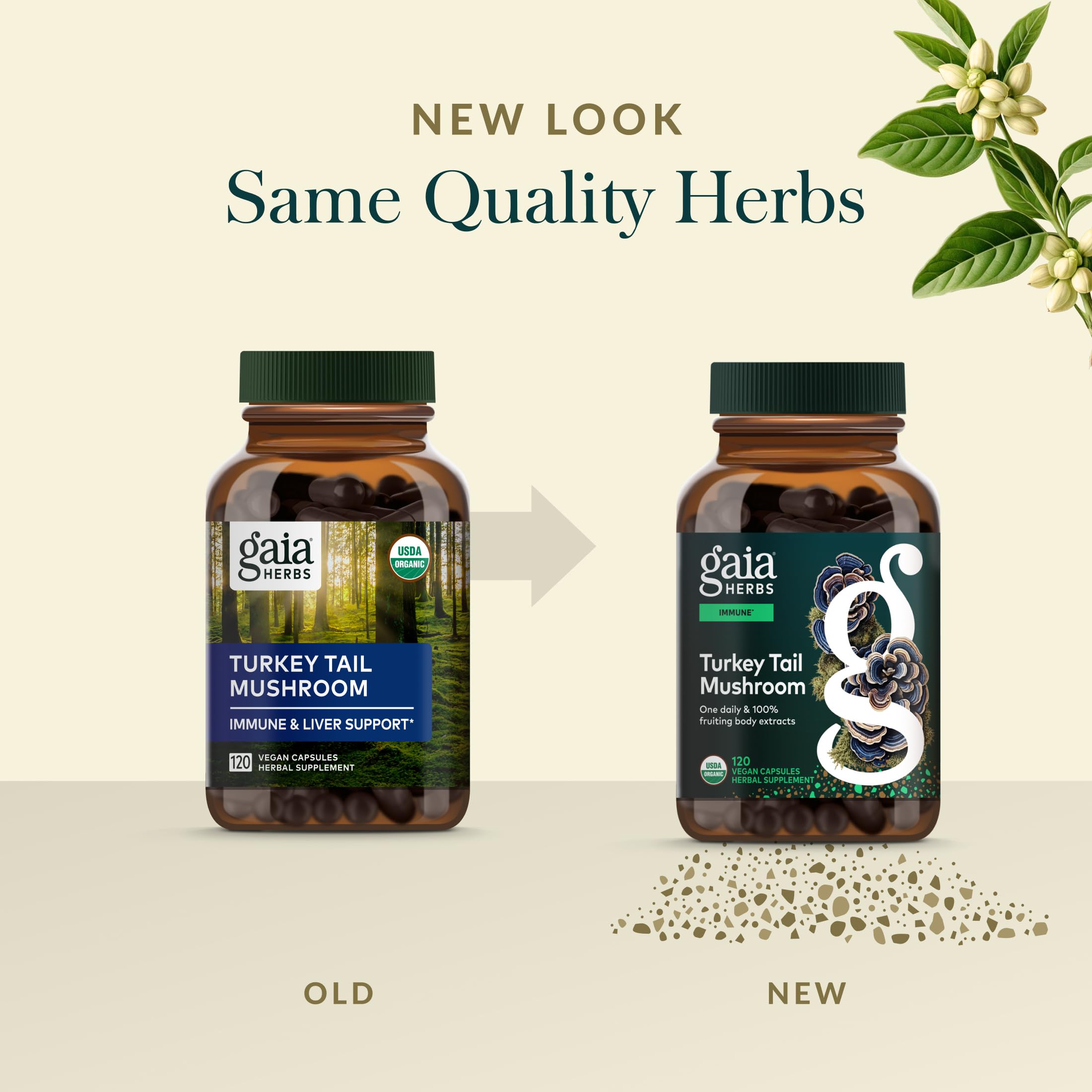 Gaia Herbs Turkey Tail organic-extract close-up with fruiting body emphasis.
