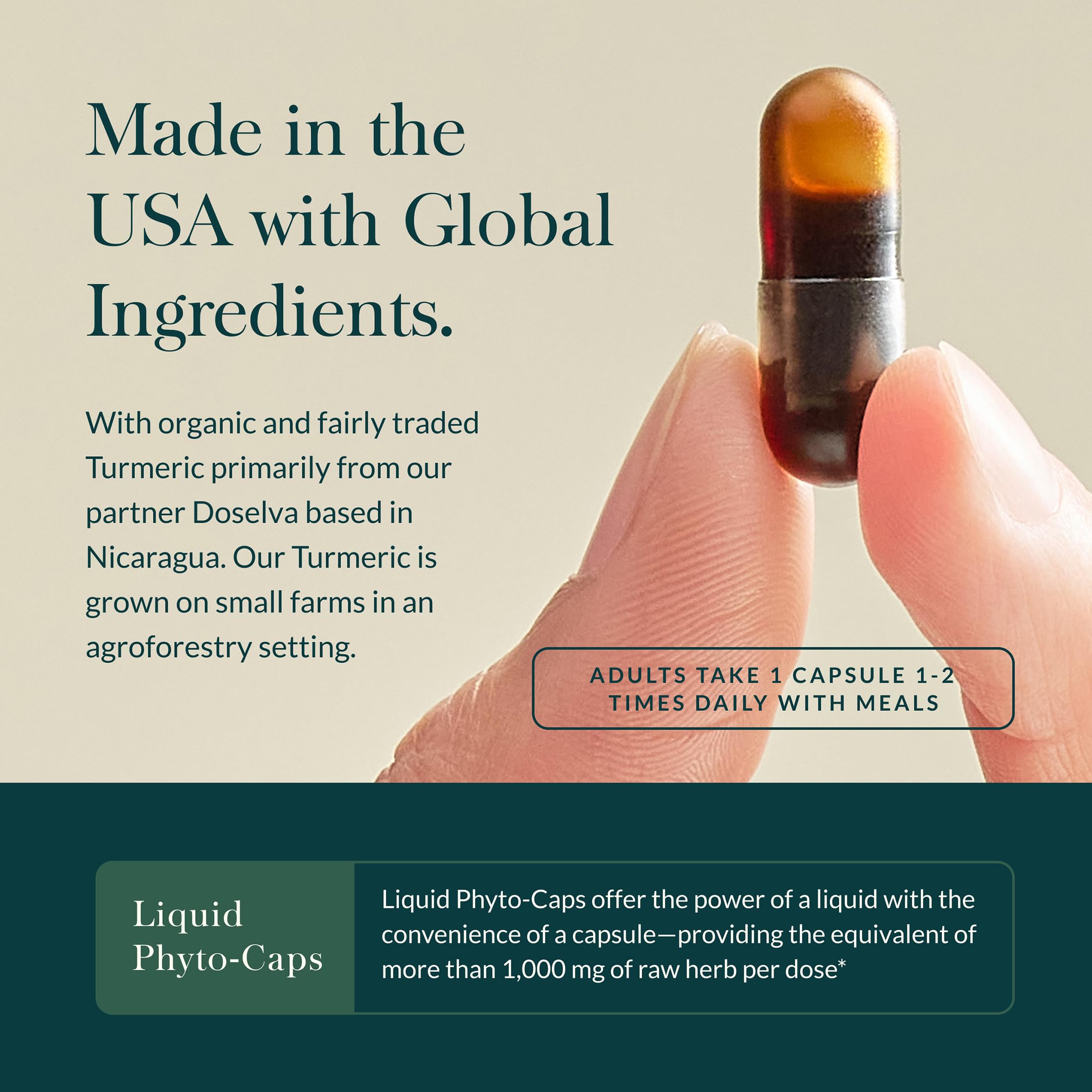 Three turmeric root extracts blend featured in Gaia Herbs formula