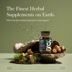 Ga ea Herbs Turmeric Supreme Joint Health capsules close-up for easy-to-swallow, daily use.