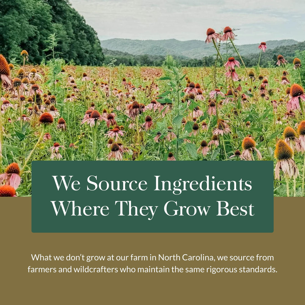Vegan formula underscores suitability for plant-based diets