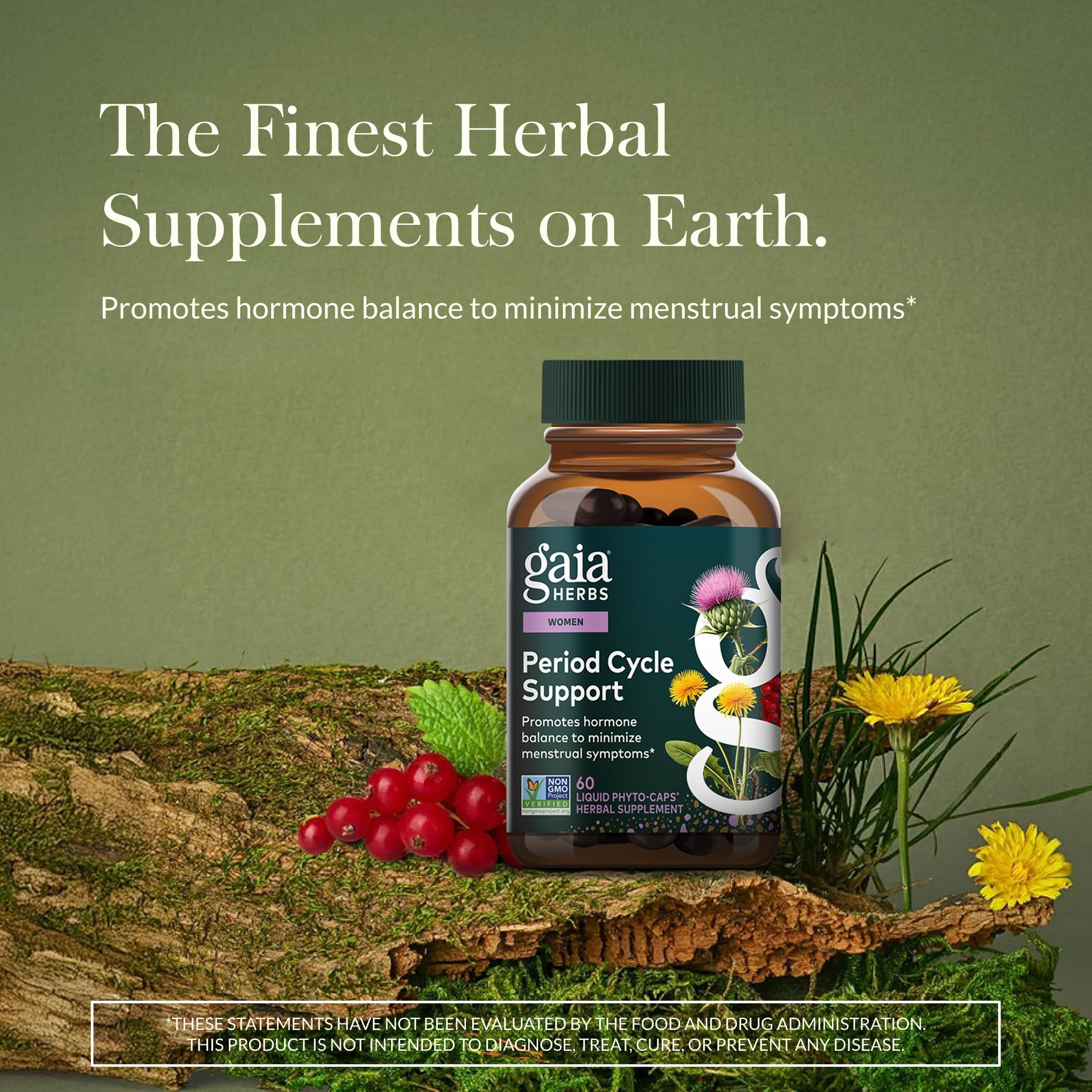 Gaia Herbs Vitex berry image highlights chaste tree's role in cycle support