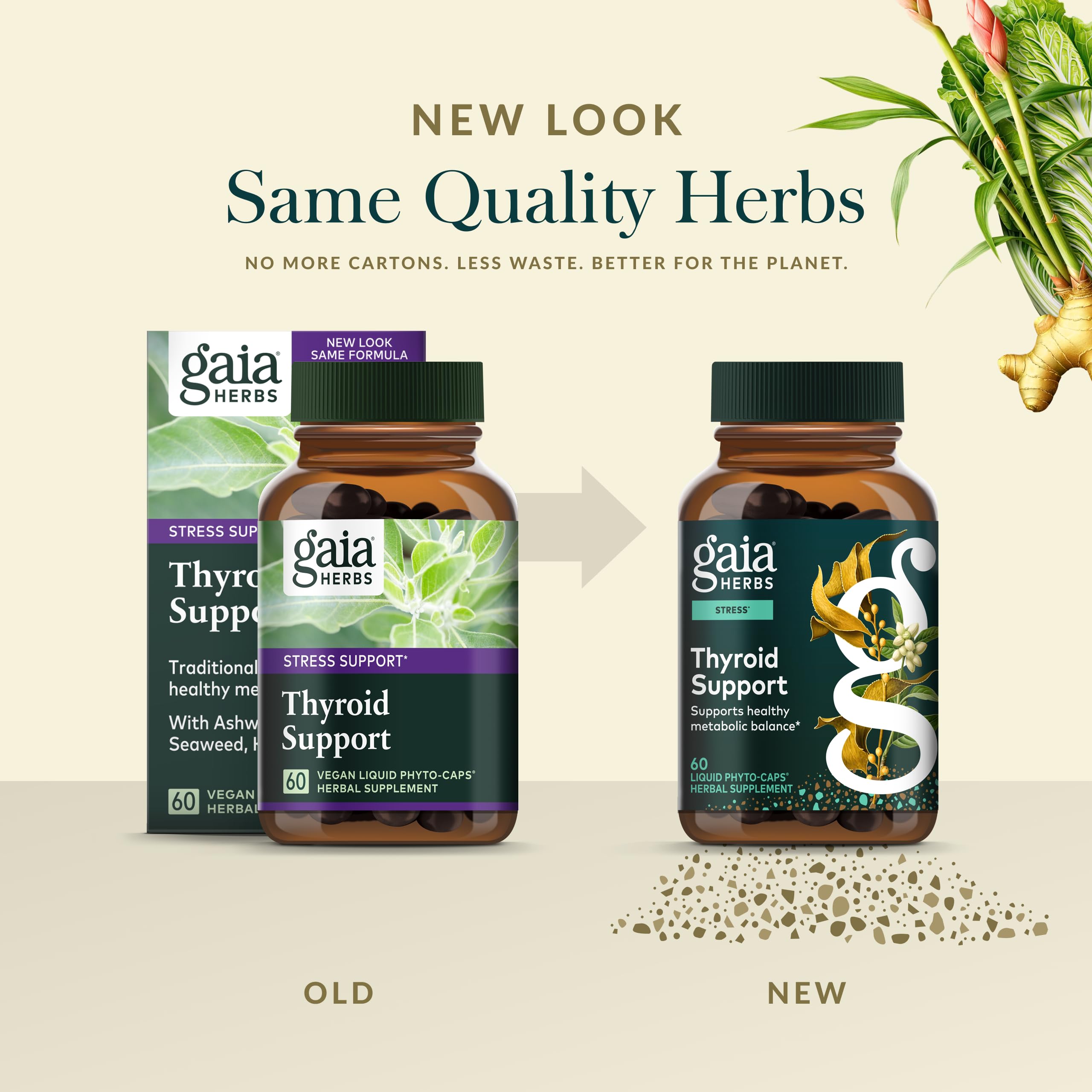 Gaia Herbs west coast Ireland sourced kelp illustration underscores quality ingredients