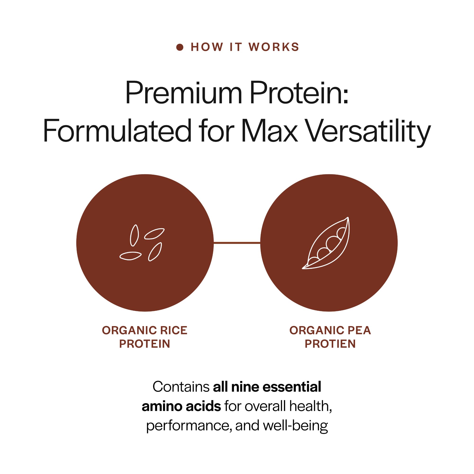 Gainful protein powder with oats, protein boost for a hearty breakfast.
