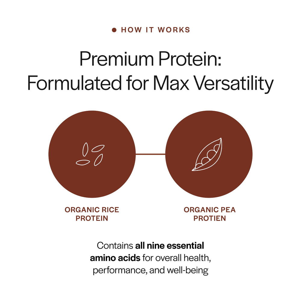 Gainful protein powder with oats, protein boost for a hearty breakfast.