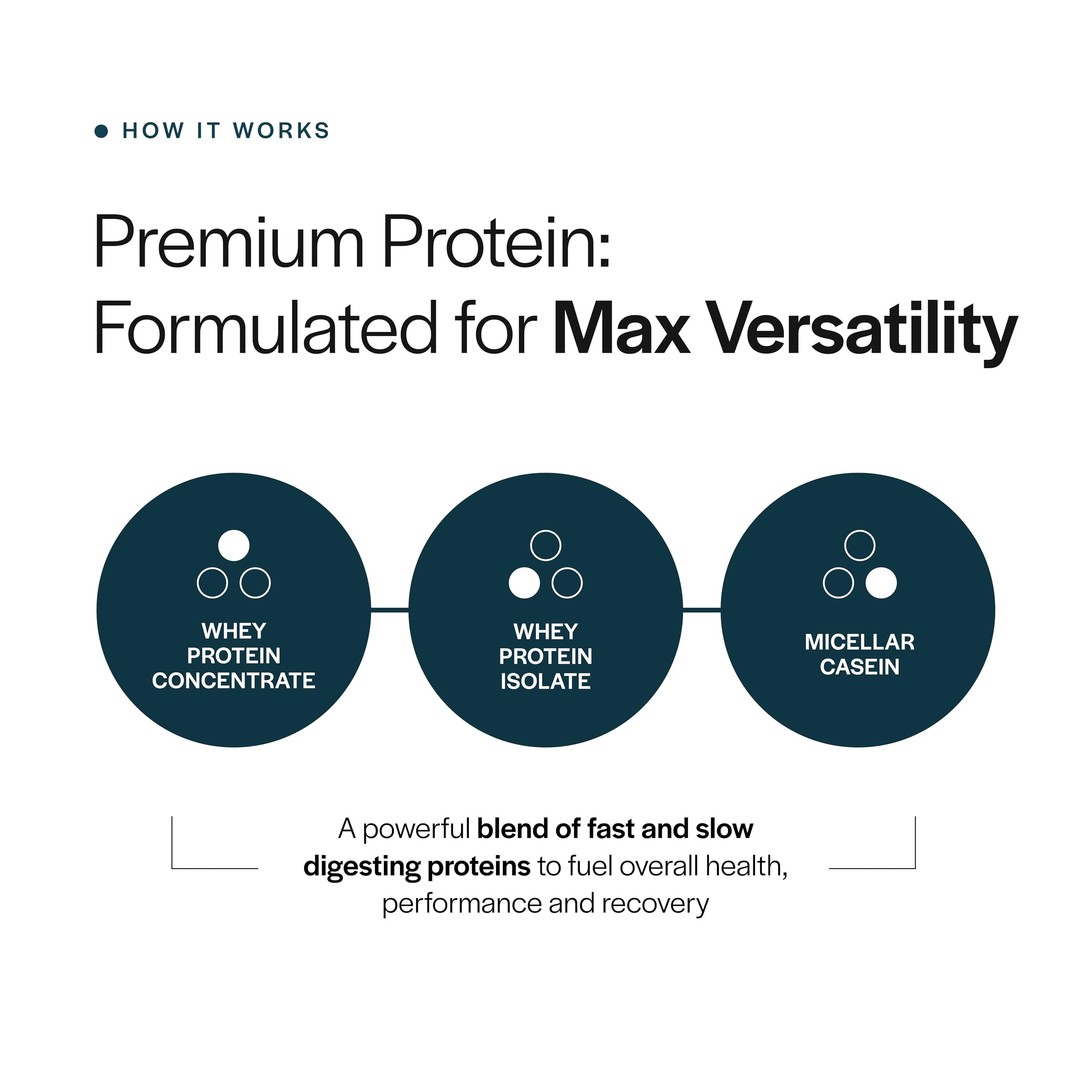 Gainful Everyday Whey protein powder scoop measures a 23g serving for steady nutrition