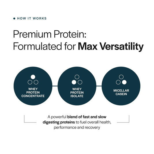 Gainful Everyday Whey protein powder scoop measures a 23g serving for steady nutrition