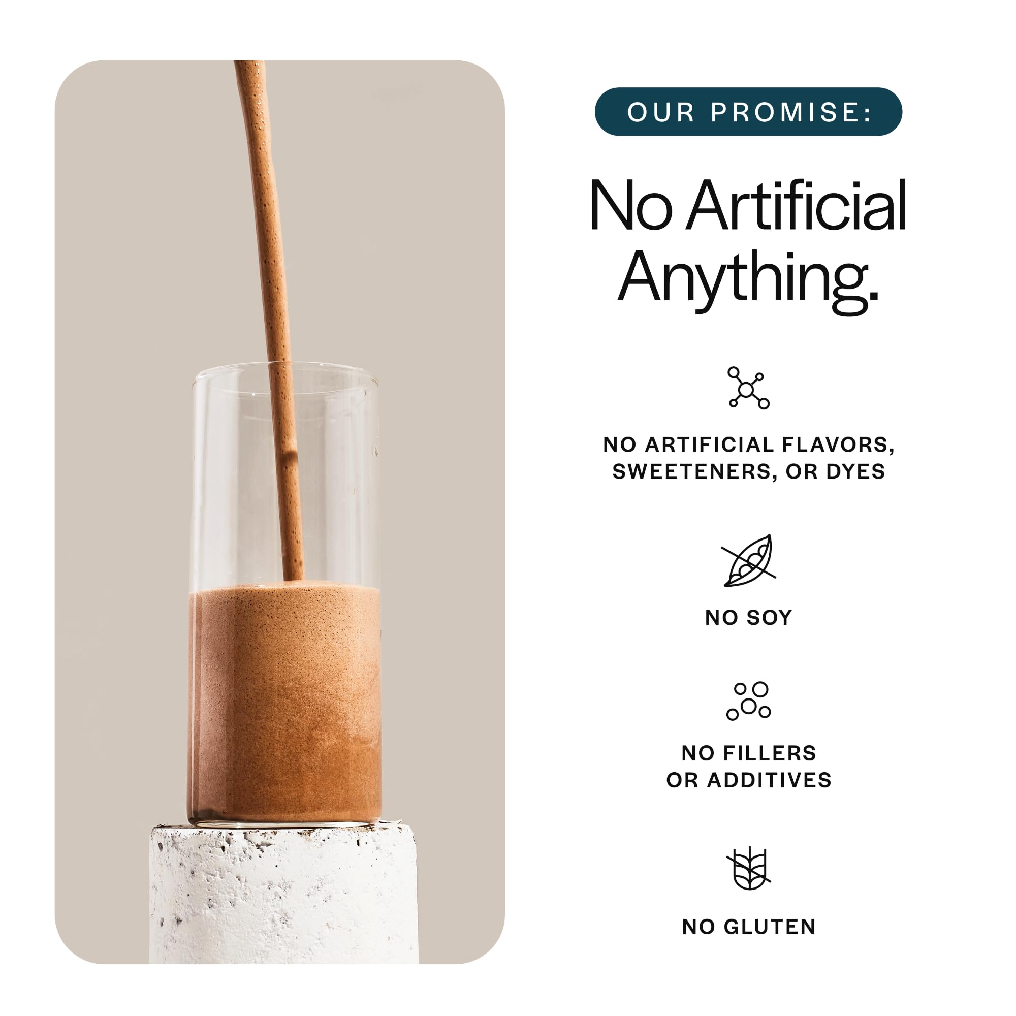 Gainful Everyday Whey with whey isolate and casein balanced release