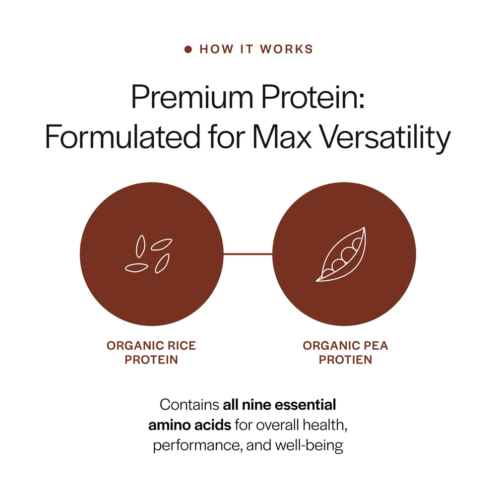 Gainful Protein Powder Tub highlighting a smooth plant-based formula for digestion
