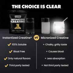 Gains in Bulk Creatine scoop beside jar emphasizes precise five-gram serving