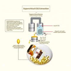GANOHERB CO2 extraction process highlights purity and actives.