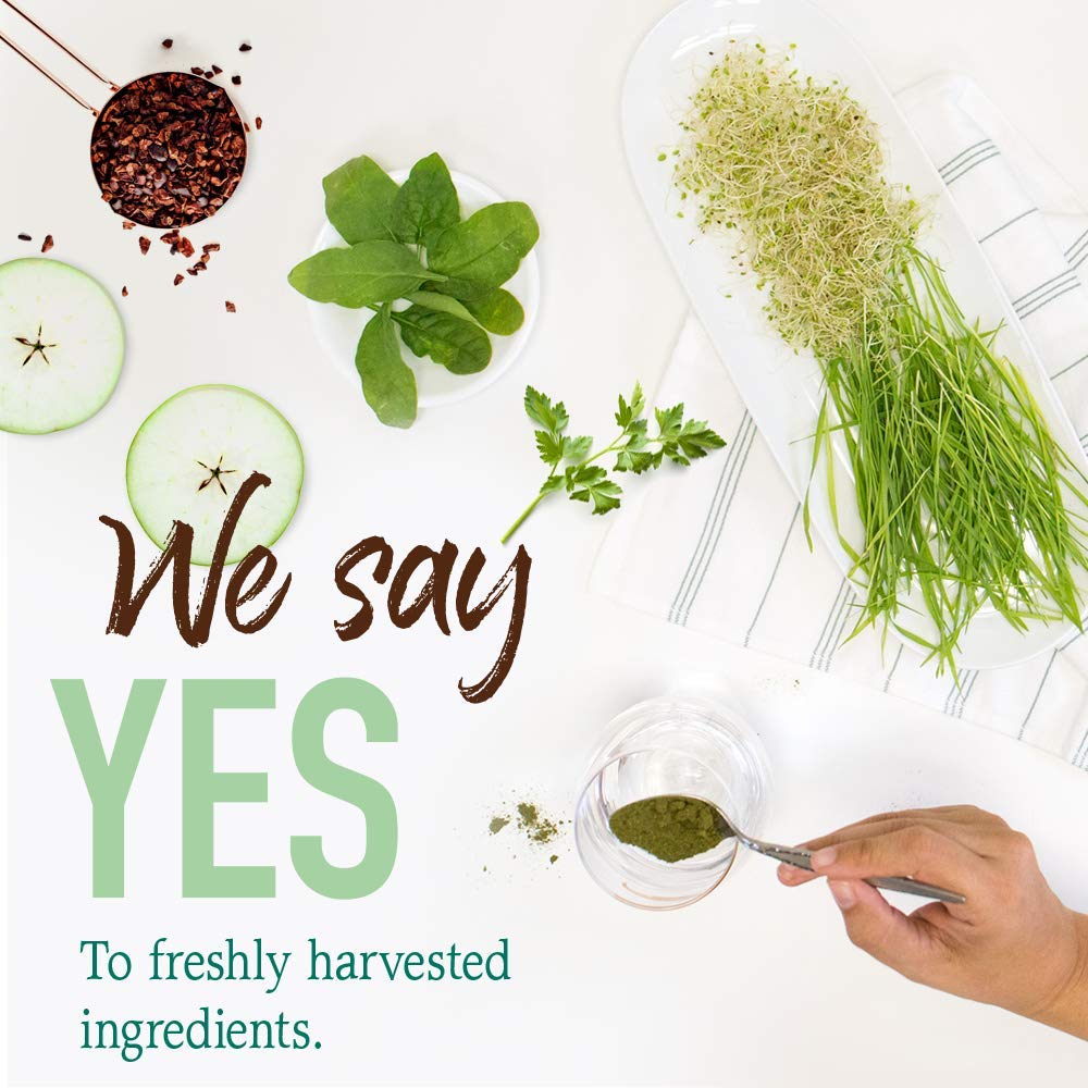 Certified organic vegan gluten-free Garden of Life label on packaging