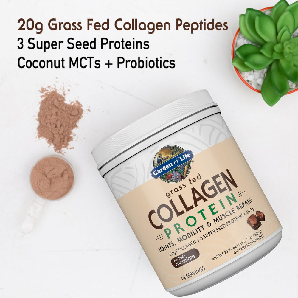 Glass of chocolate shake with Garden of Life Collagen Chocolate after a workout for recovery.