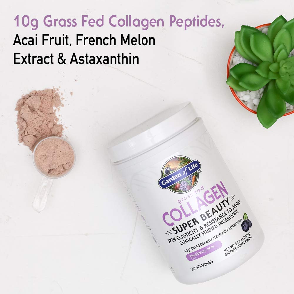 Probiotic digestive support included in Grass-Fed collagen powder formula
