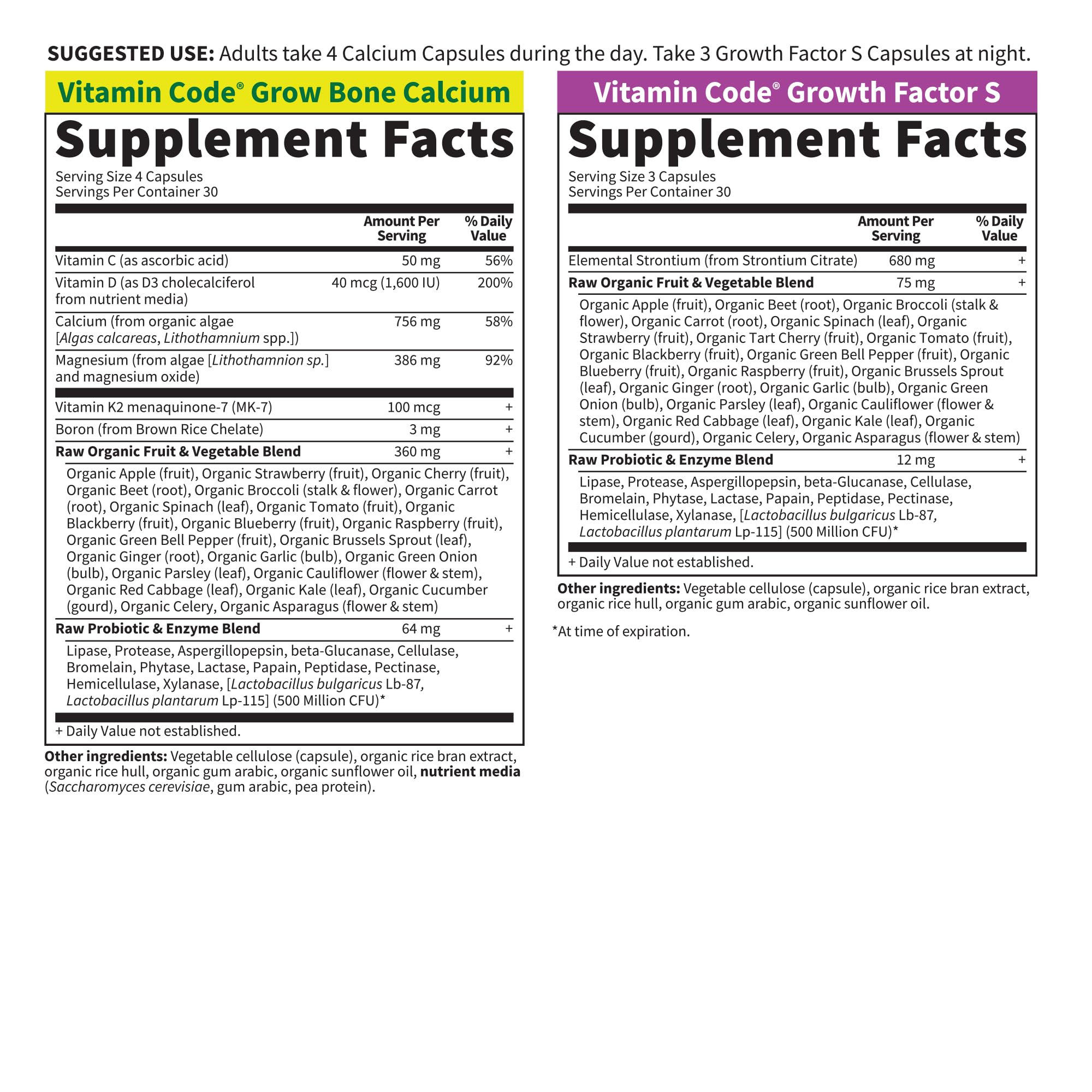 Garden of Life live probiotics and enzymes image aiding digestion and absorption
