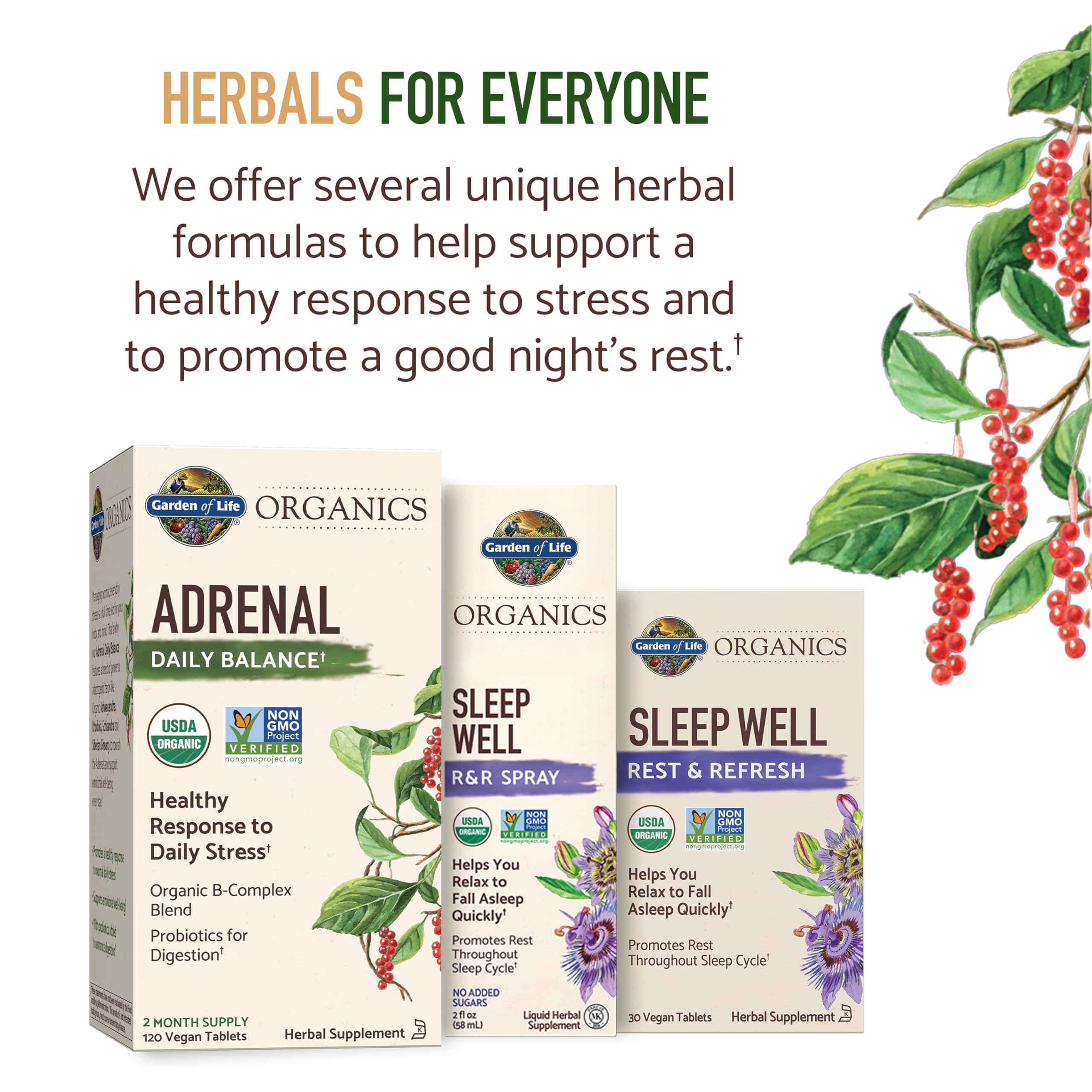 Garden of Life Organics B vitamins tablets close-up highlighting whole-food sourced nutrients.