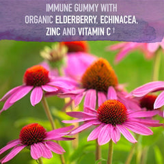 Garden of Life Organics Elderberry Gummies for kids providing tasty immune support.