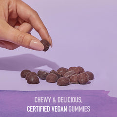 Garden of Life Organics Elderberry Gummies zinc from guava supports immune wellness.