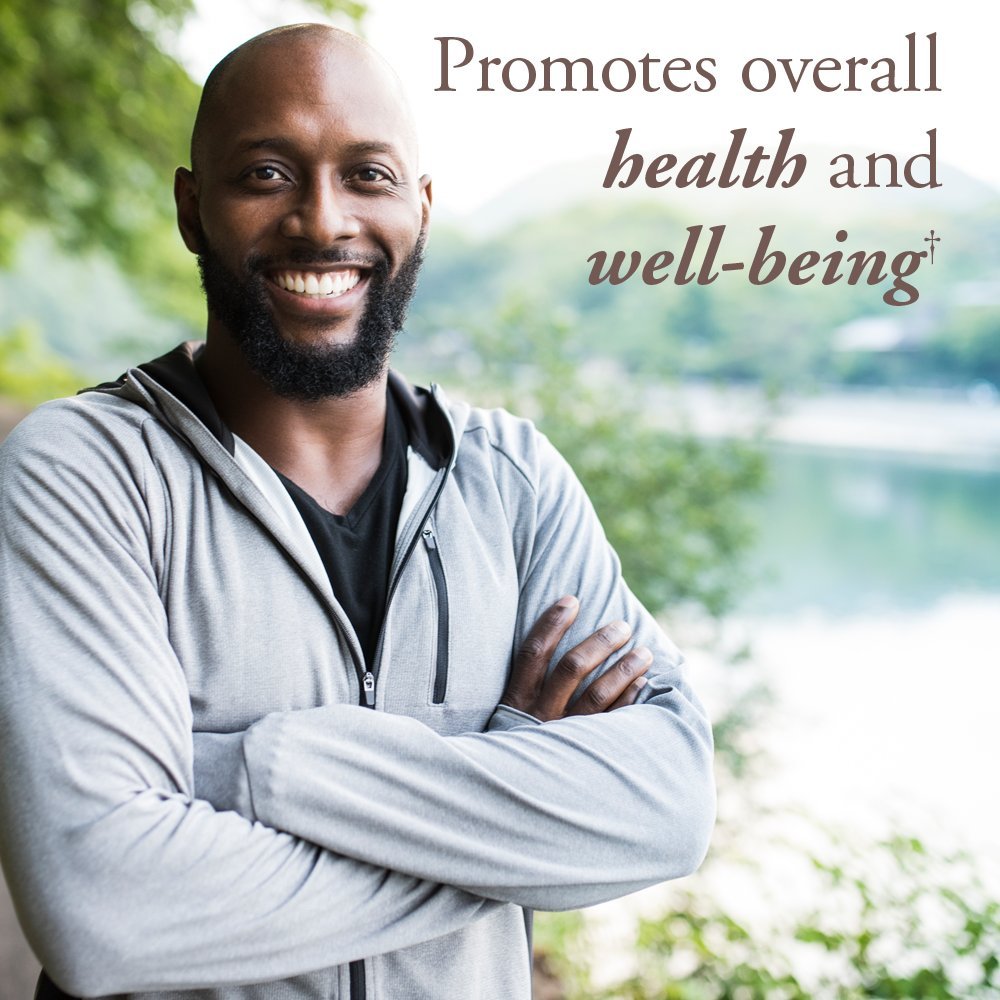 Close-up of Garden of Life Organics Men’s Multi 40+ capsules highlighting vegan formula