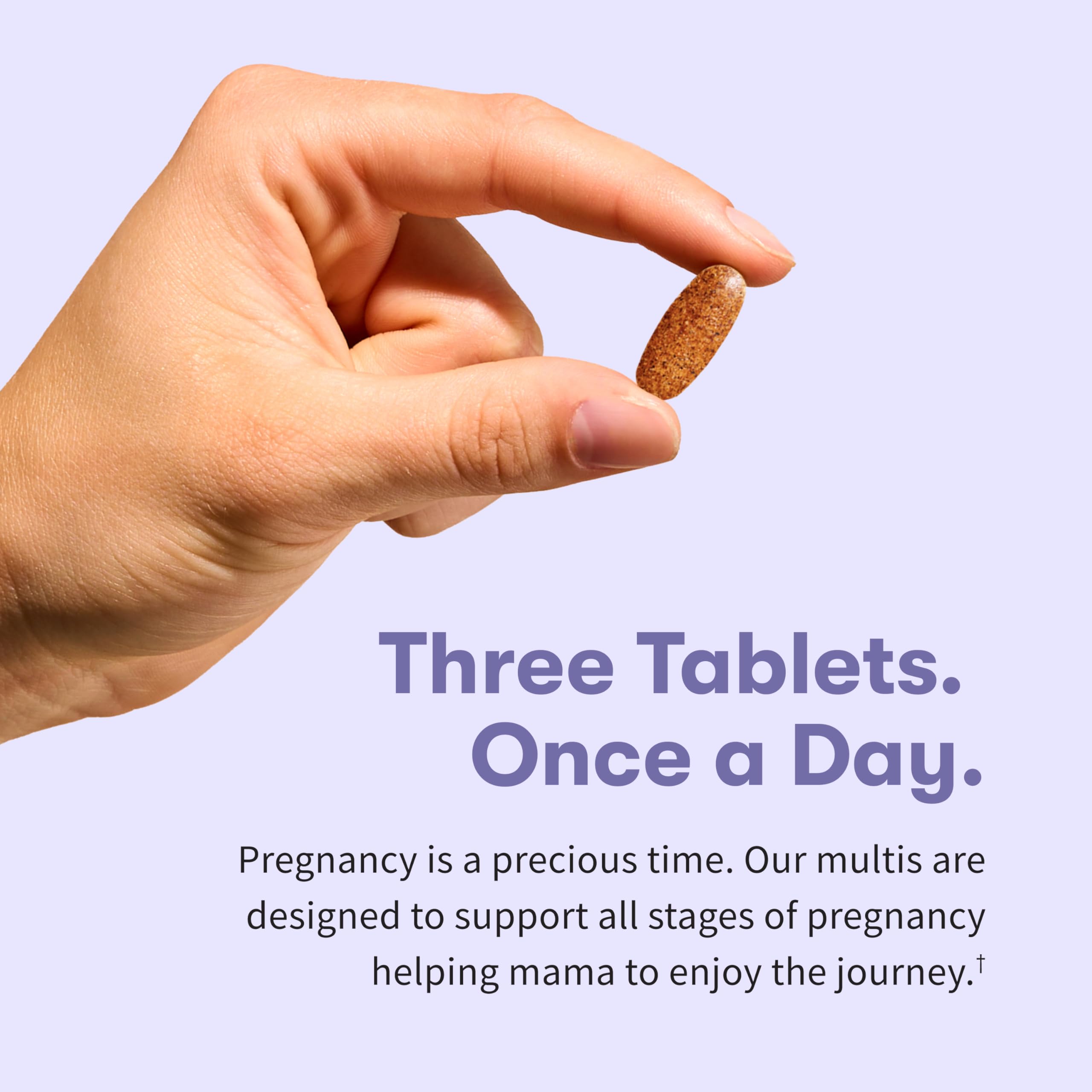 Garden of Life Organics Prenatal Multi iron detail 27 mg non-constipating formula