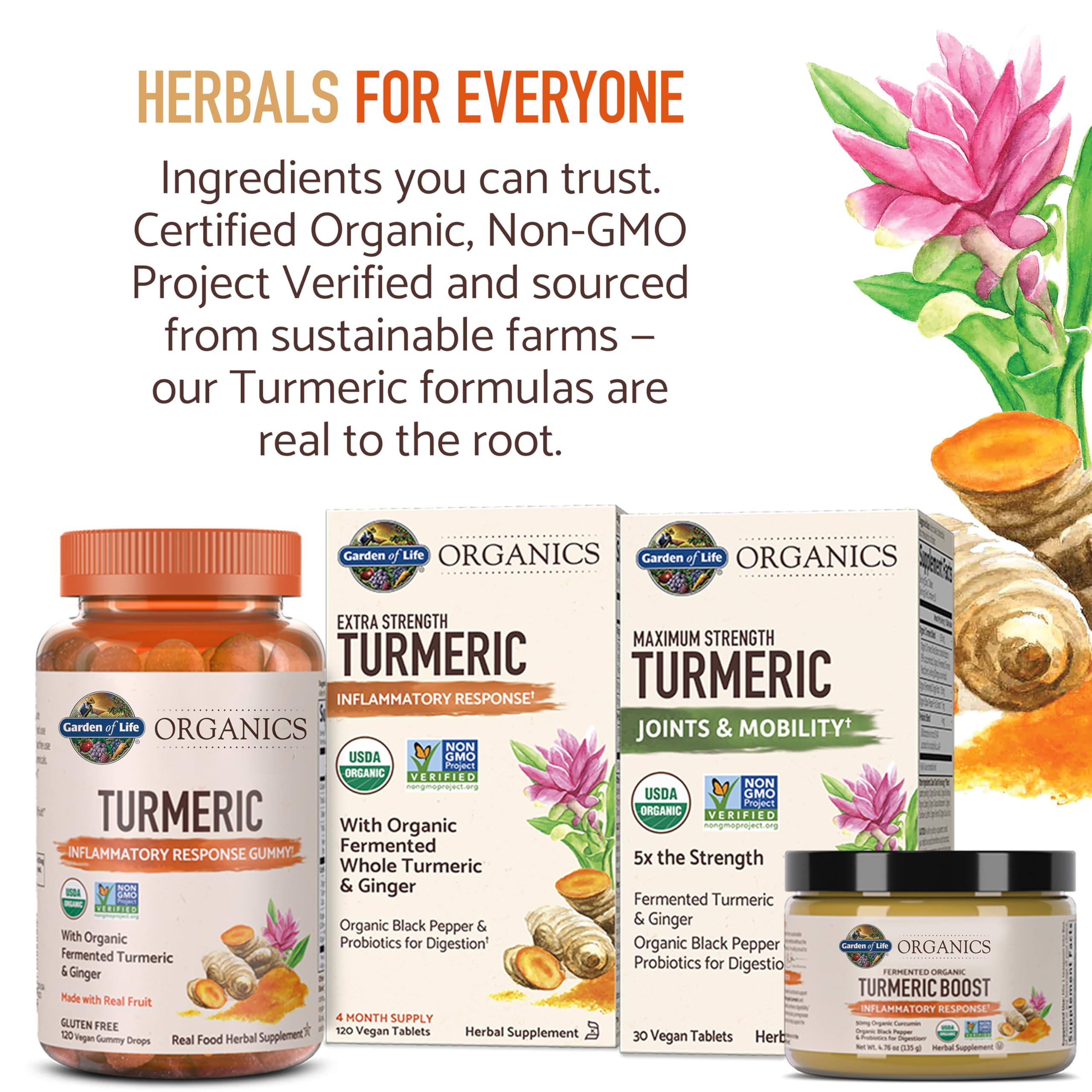 Garden of Life Organics Turmeric Gummy adults and kids usage scene.