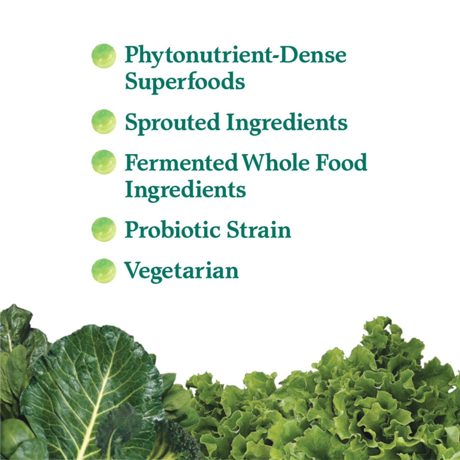 Garden of Life Perfect Food powder with measuring scoop for convenient greens supplementation