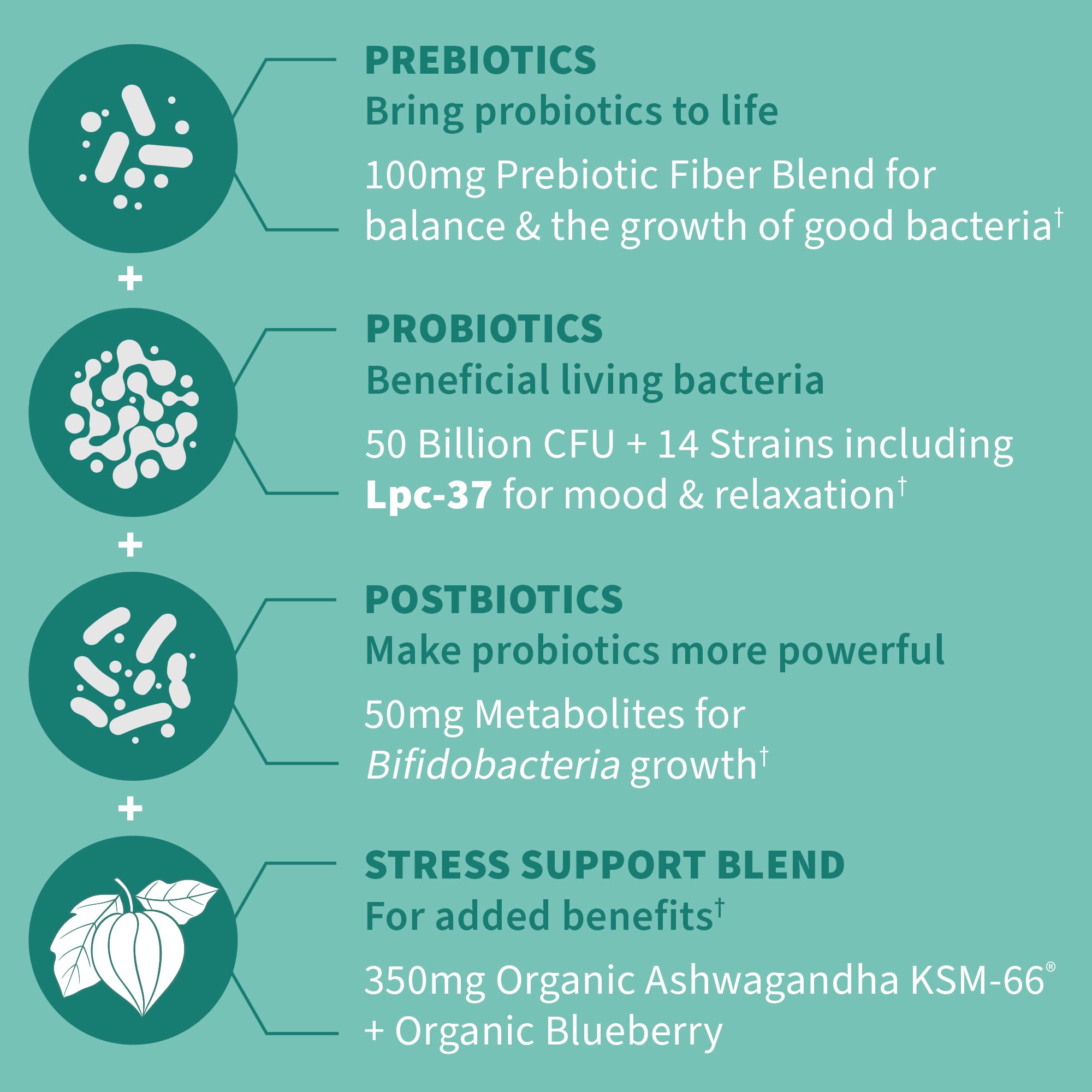 Garden of Life prebiotic and postbiotic blend diagram.