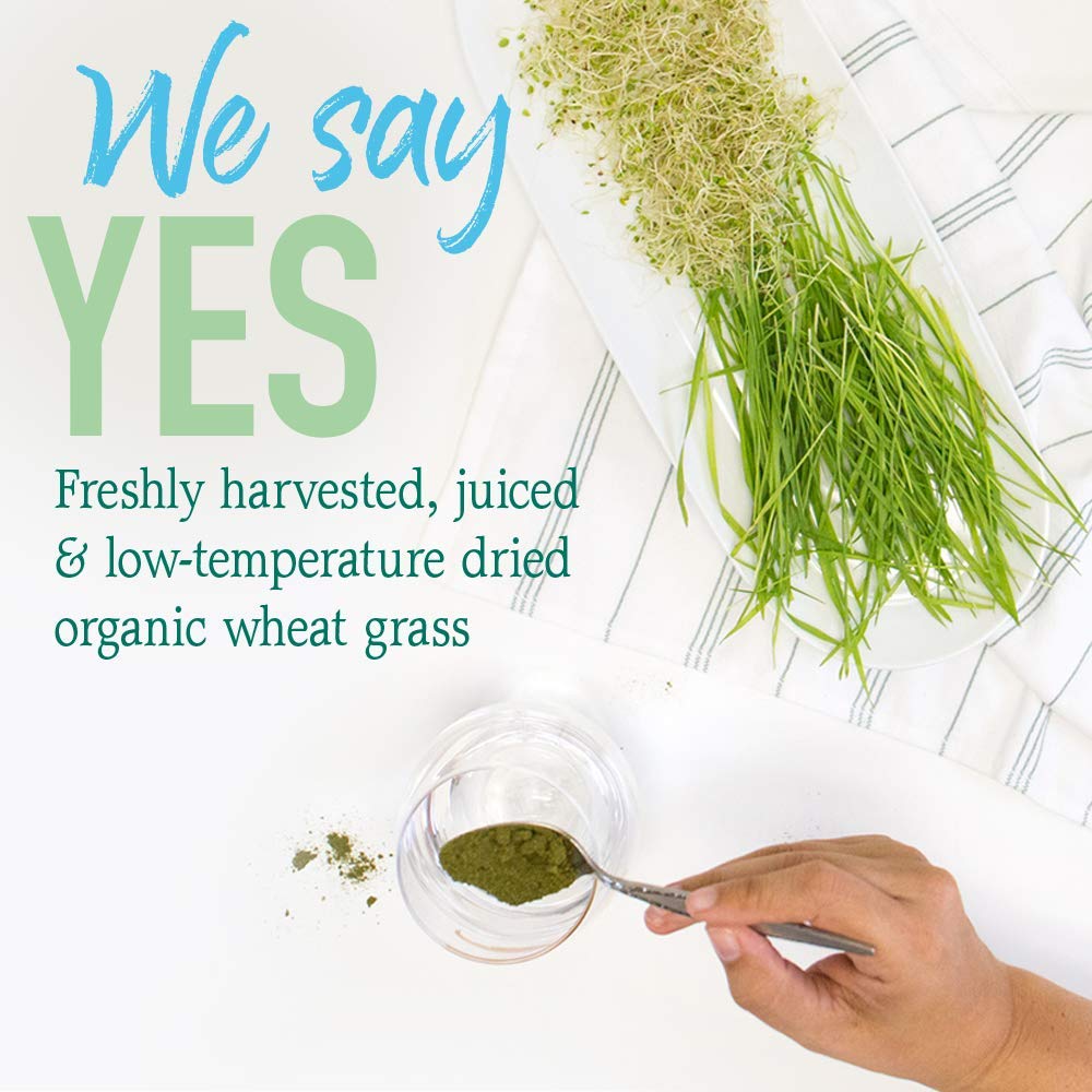 Pour into a glass to create a refreshing greens drink