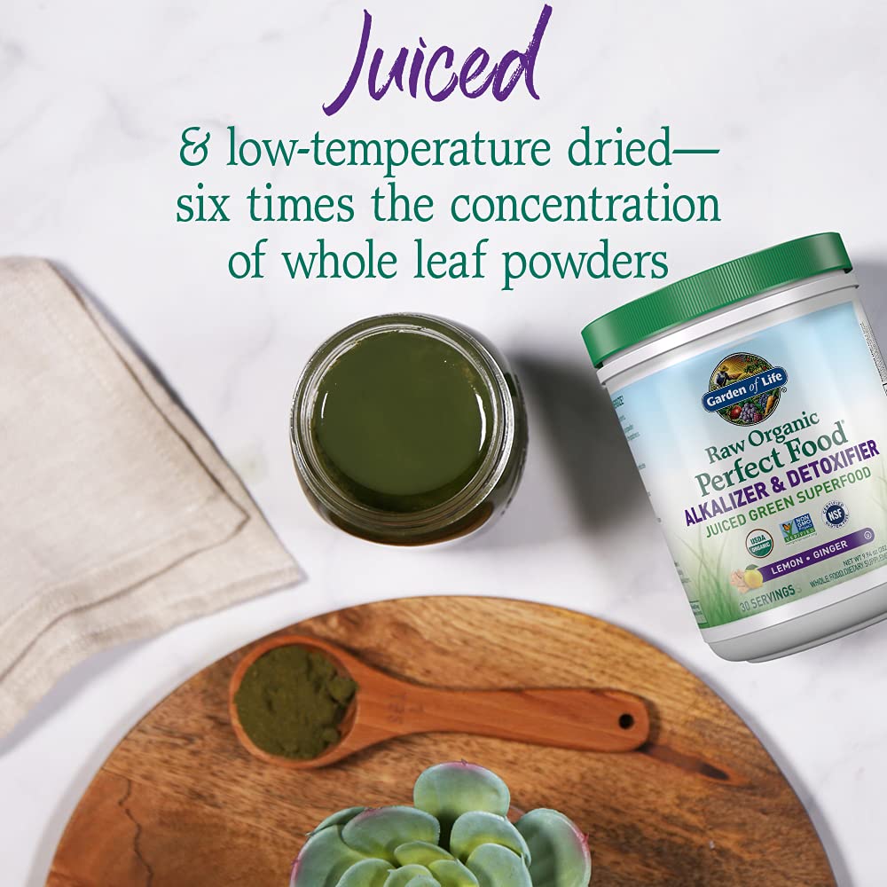 Garden of Life Raw Organic Perfect Food bottle highlighting convenient on-the-go supplement.