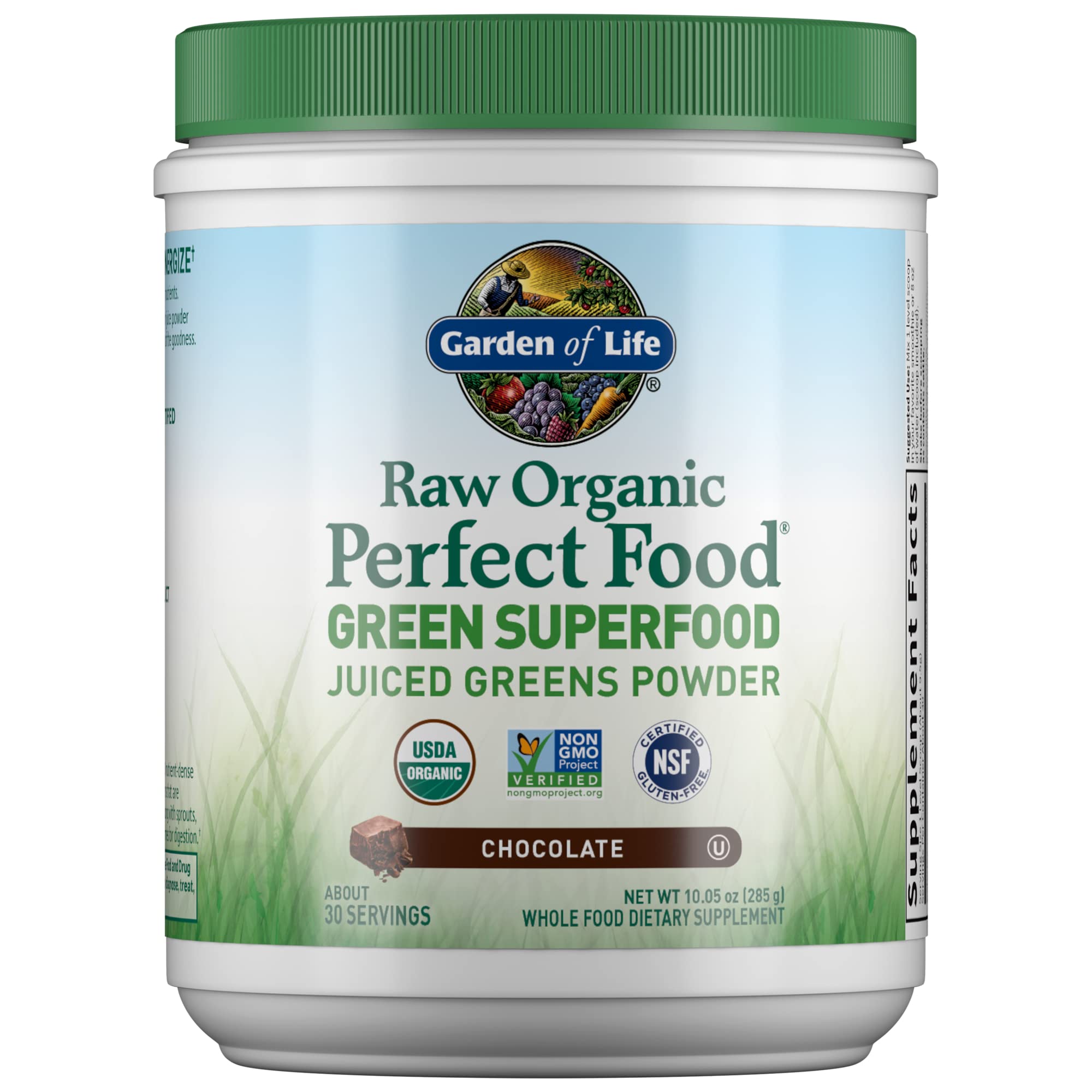 Garden of Life Raw Organic Perfect Food Green Superfood Chocolate tub front for daily energy boost