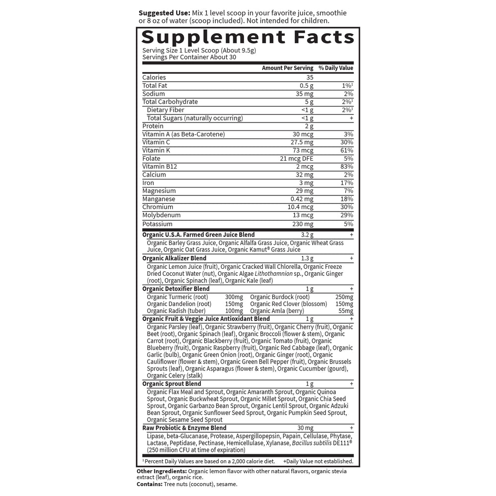 Garden of Life Raw Organic Perfect Food green smoothie featuring nutrient-dense greens.