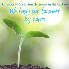 USDA Organic and vegan certifications on Garden of Life label