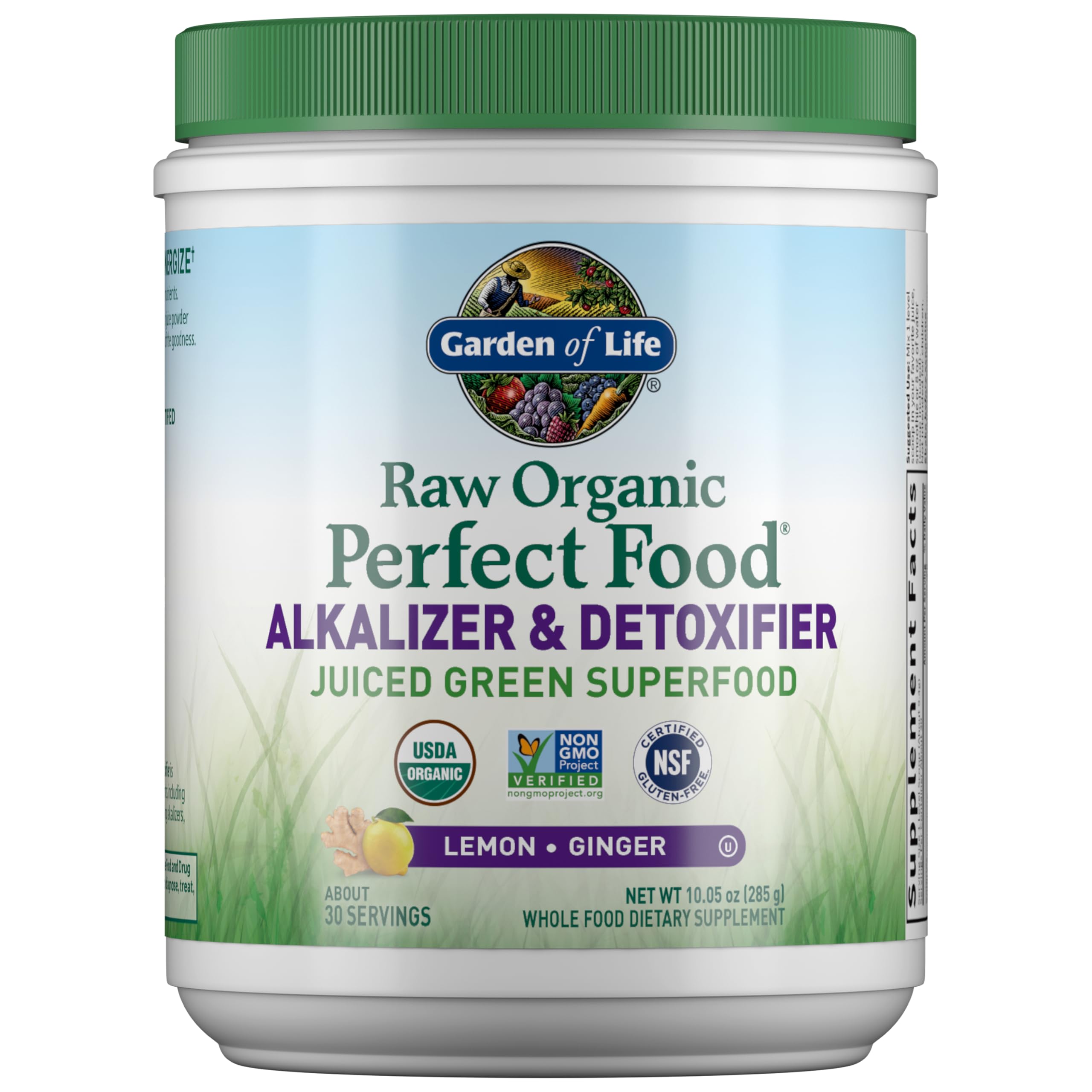 Garden of Life Raw Organic Perfect Food powder in a scoop for easy daily greens.