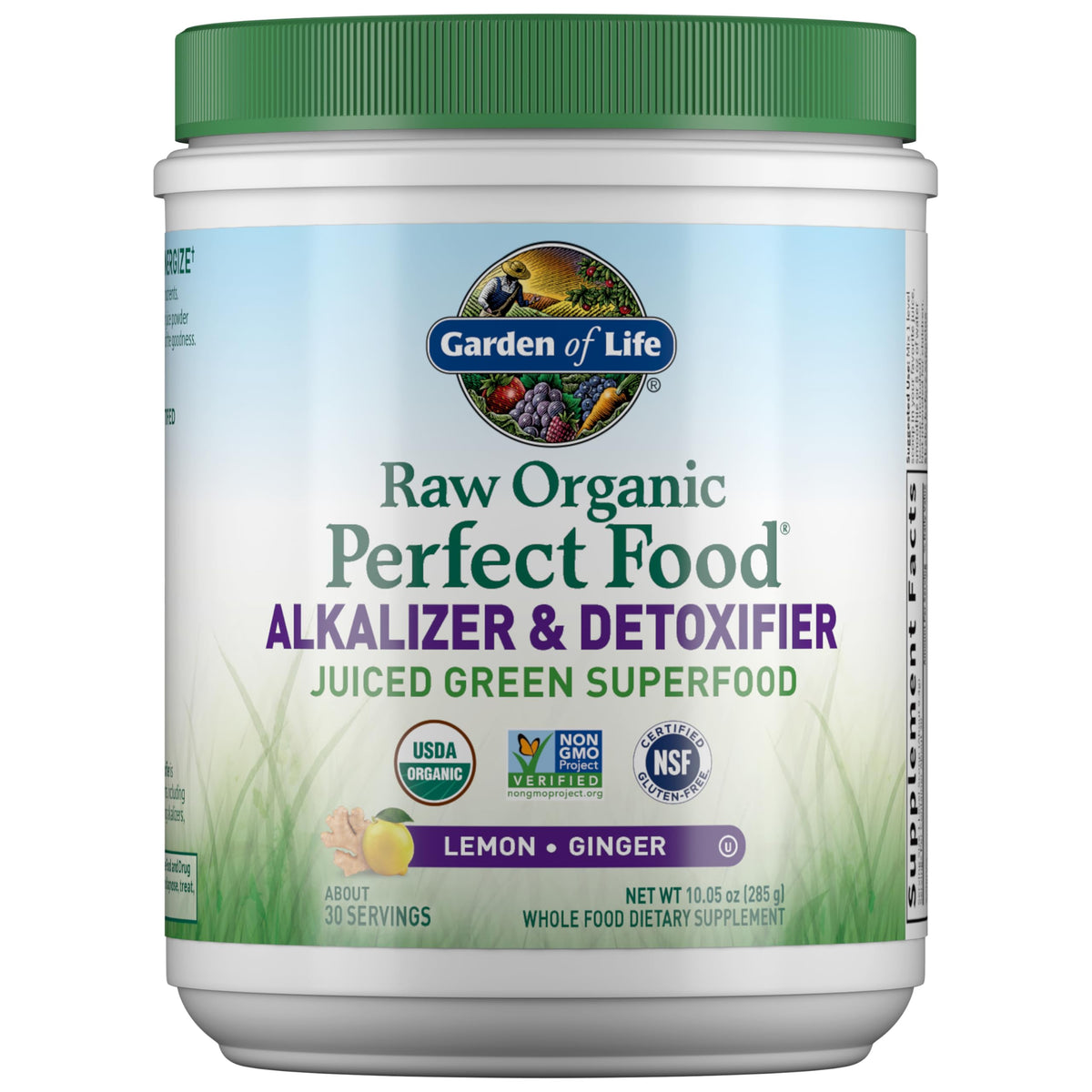Garden of Life Raw Organic Perfect Food powder in a scoop for easy daily greens.