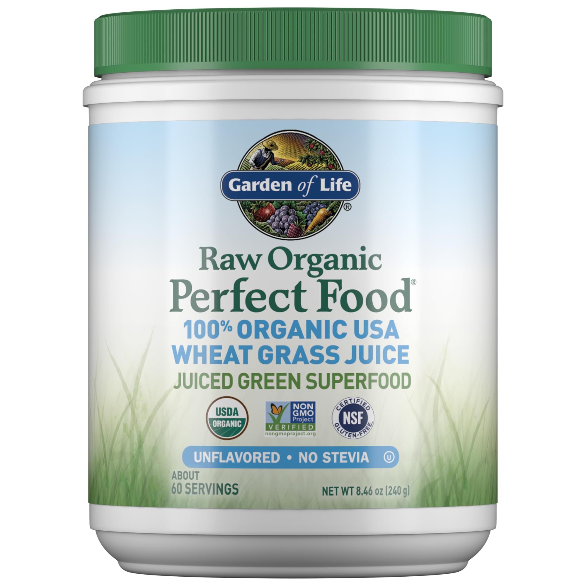 Garden of Life Raw Organic Perfect Food wheat grass juice powder tub ready for daily greens
