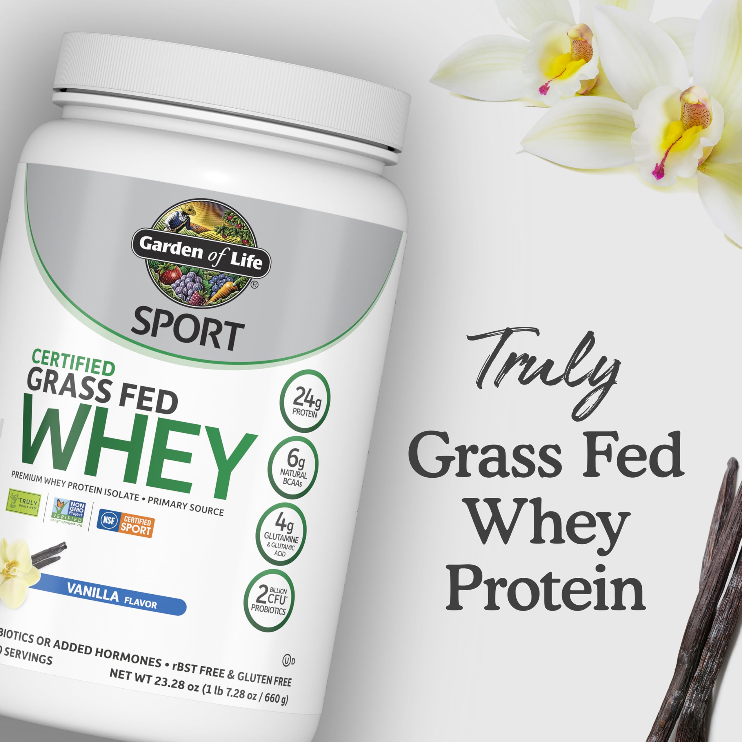 Garden of Life SPORT shake in glass, showcasing delicious vanilla flavor for daily use