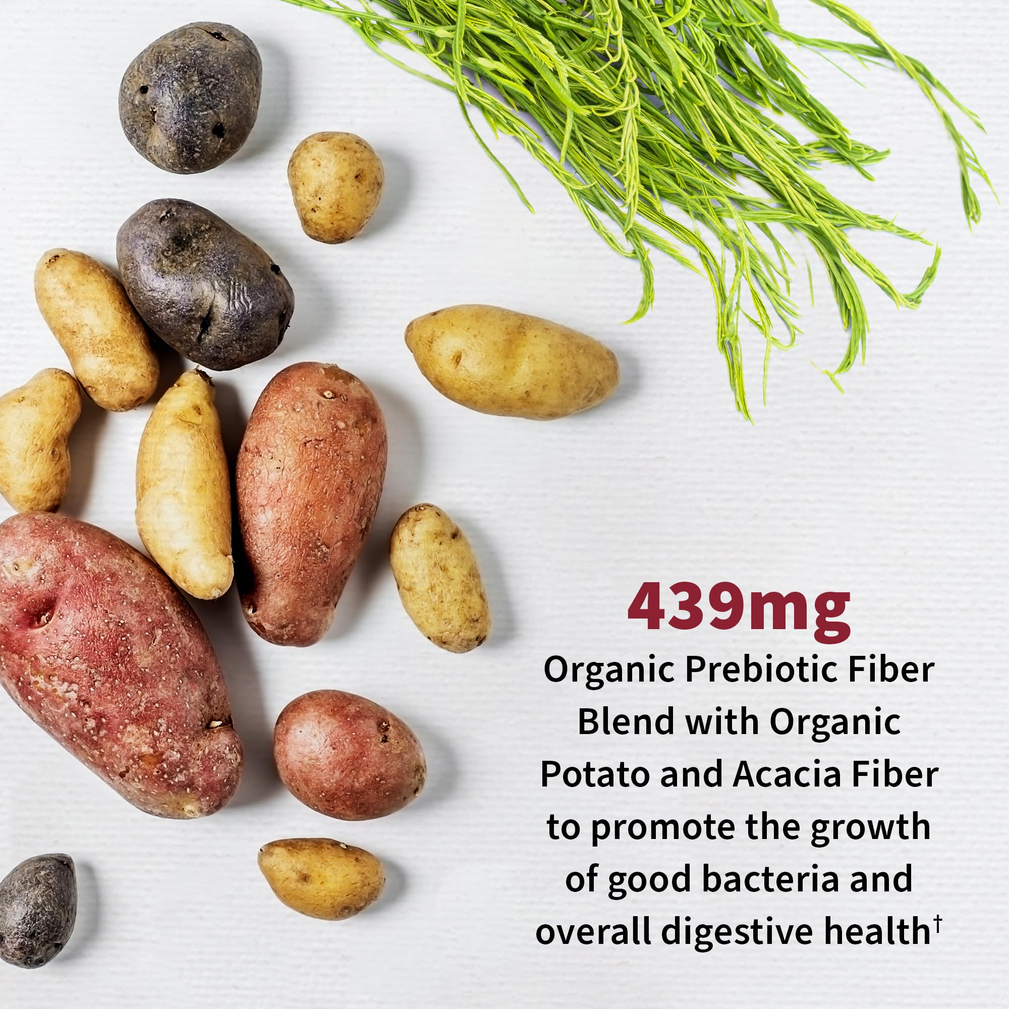 Urinary Tract+ ingredient list highlights cranberry and probiotics.